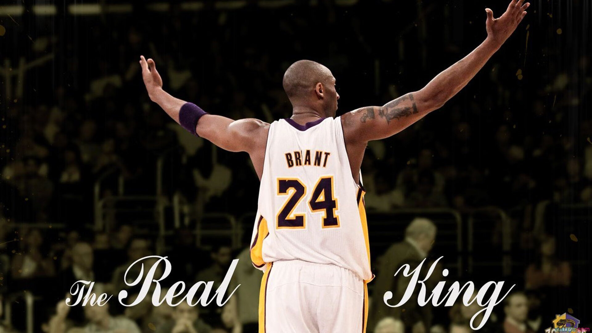 羽毛球赛场焦点！韩国队对阵俄罗斯队，主力缺阵，替补球员挺身而出